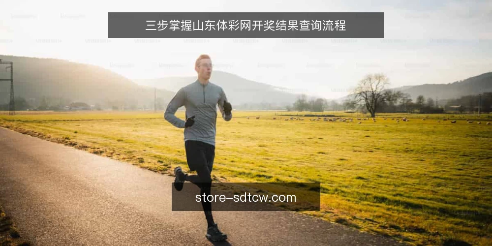 三步掌握山东体彩网开奖结果查询流程 — 准备:确认查询入口与必要信息 配图