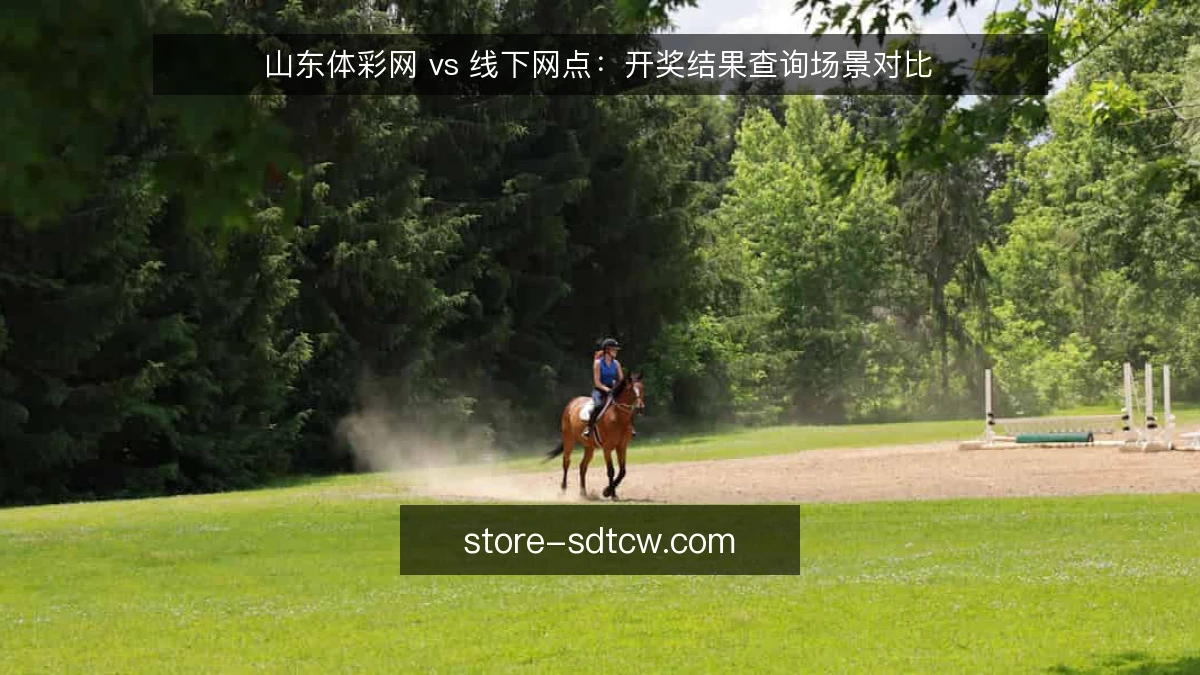 山东体彩网 vs 线下网点:开奖结果查询场景对比