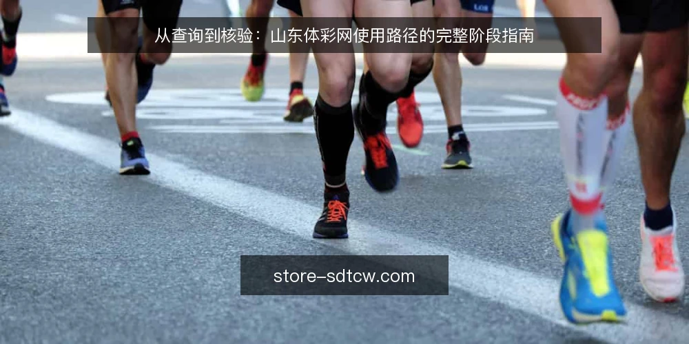 从查询到核验：山东体彩网使用路径的完整阶段指南 — 场景设定：从一次日常查询开始 配图