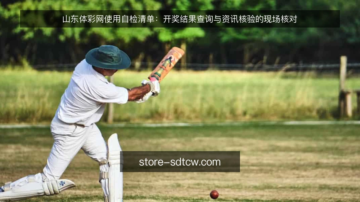山东体彩网使用自检清单：开奖结果查询与资讯核验的现场核对