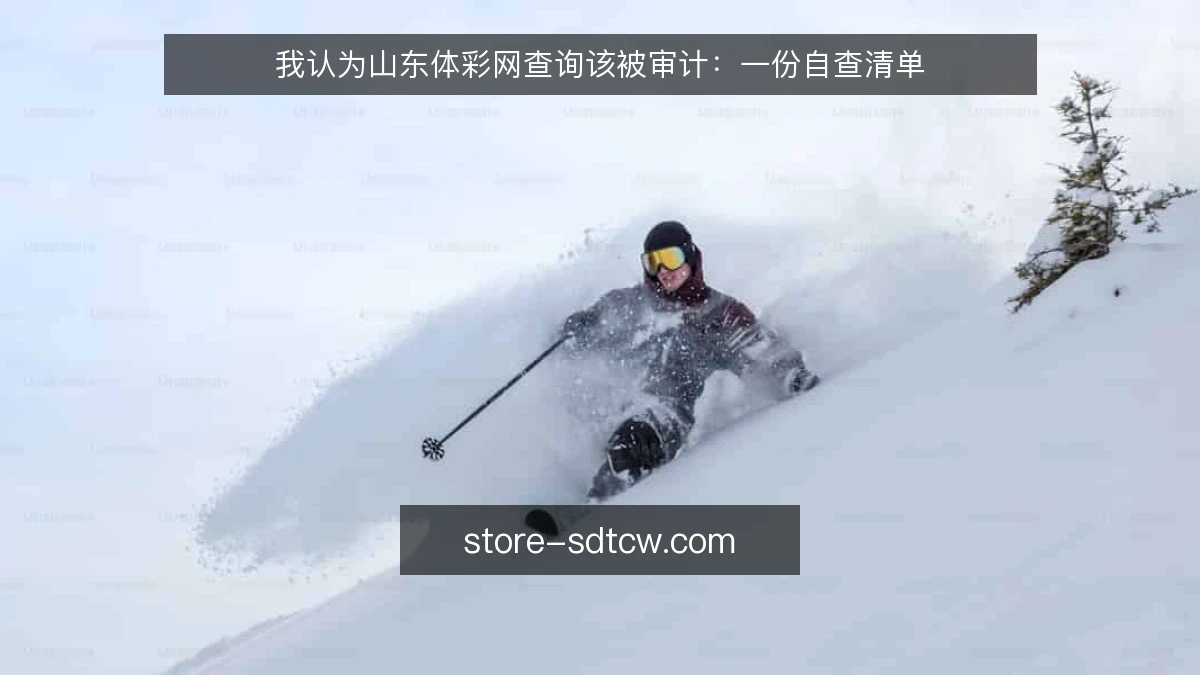 我认为山东体彩网查询该被审计：一份自查清单