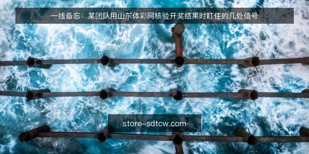 一线备忘:某团队用山东体彩网核验开奖结果时盯住的几处信号 — 先说该盯的信号 配图